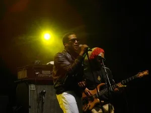 Q-Tip