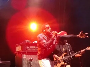 Q-Tip